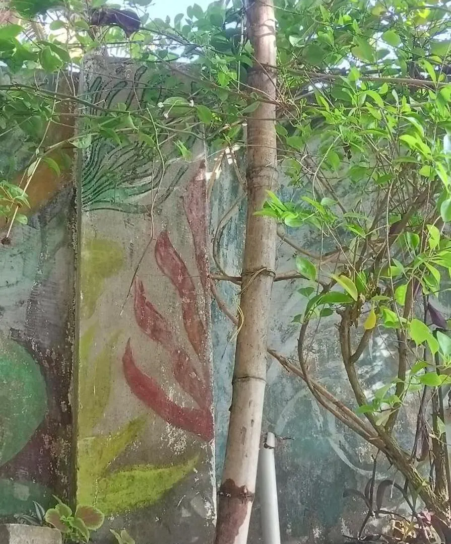 Homestay Peace And Love Stay Alappuzha