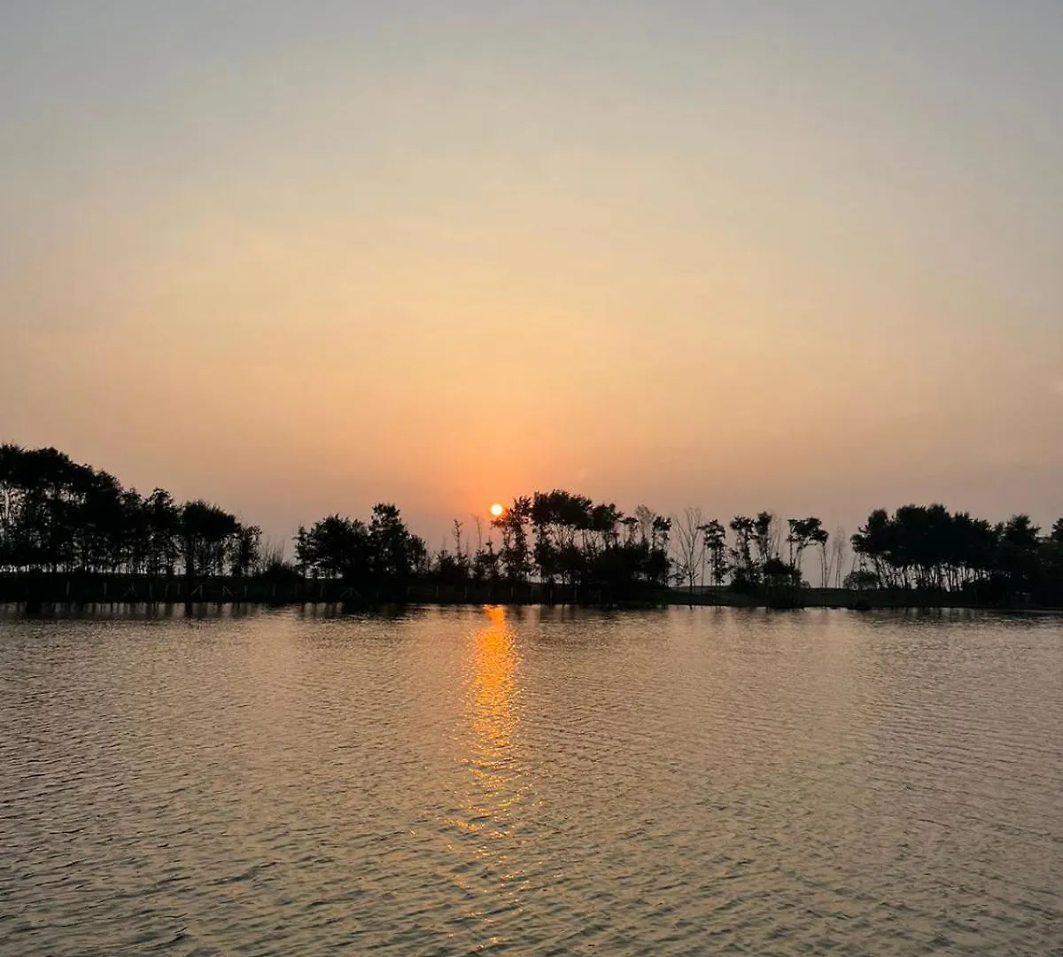 Peace And Love Stay Alappuzha 0*,